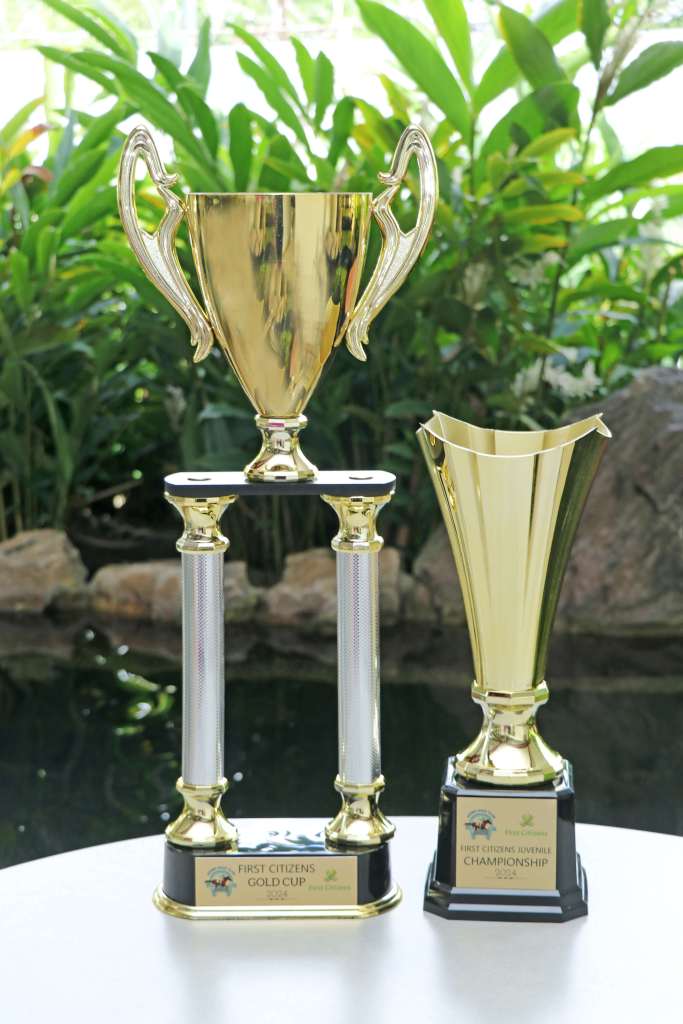 Images of the trophies